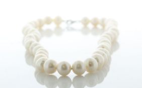 18 inch Round Freshwater Cultured 9.5 - 10.5mm Pearl Necklace With Silver Clasp - Valued By AGI £