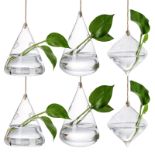 RRP £11.40 Peohud 6 Pack Glass Hanging Planter