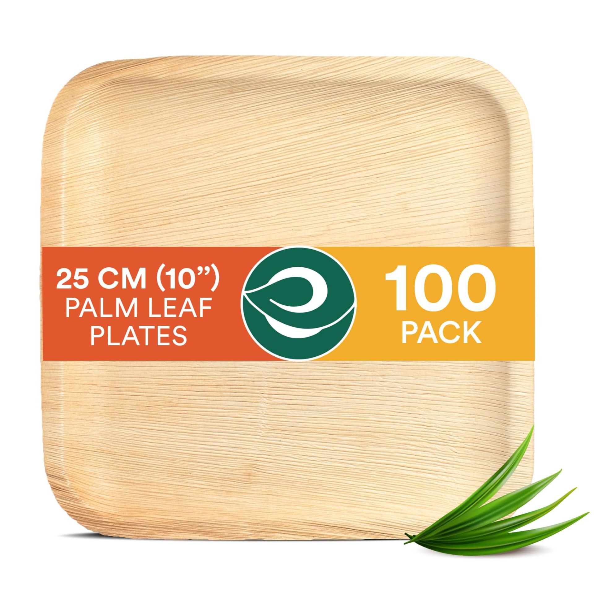 RRP £36.88 ECO SOUL 100% Compostable 25cm(10") Square Palm Leaf Plates (Pack of 100)