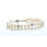 Freshwater Cultured 5.5 - 6.0mm Pearl Bracelet With Silver Clasp And Fastening - Valued By AGI £