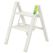 RRP £45.65 2 Step Ladder