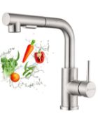 RRP £43.20 DAYONE Kitchen Taps with Pull Out Spray