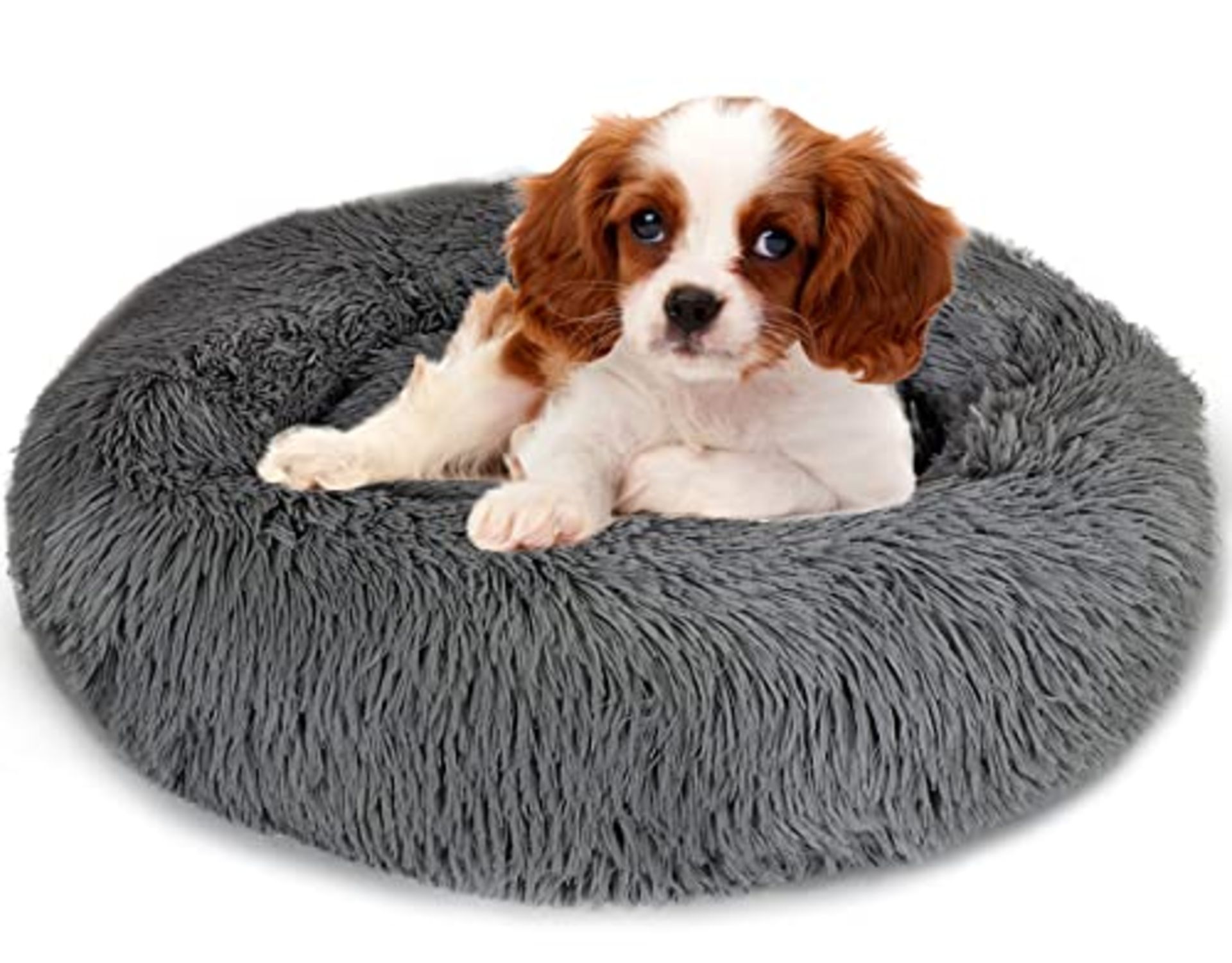 RRP £20.37 Enjamoy Plush Donut Dog Bed