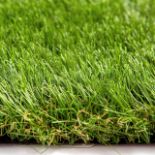 RRP £34.24 Forever Green Lawns LimitedArtificial Grass Maintenance