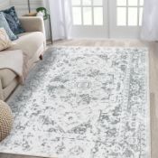RRP £39.95 Famibay Area Rugs Soft Fluffy Rugs Living Room Large