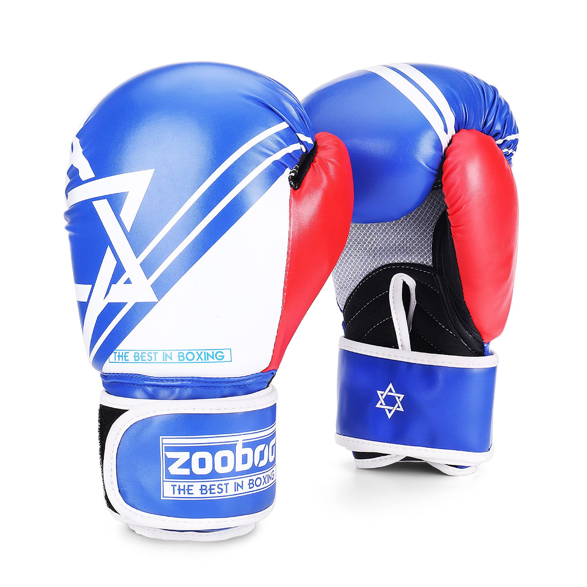 RRP £19.71 Flexzion Boxing Gloves