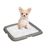 RRP £26.25 PAWISE Indoor Dog Toilet Training Pads Tray