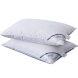 RRP £30.40 ANALIN 2 Pack Goose Feather Down Pillows