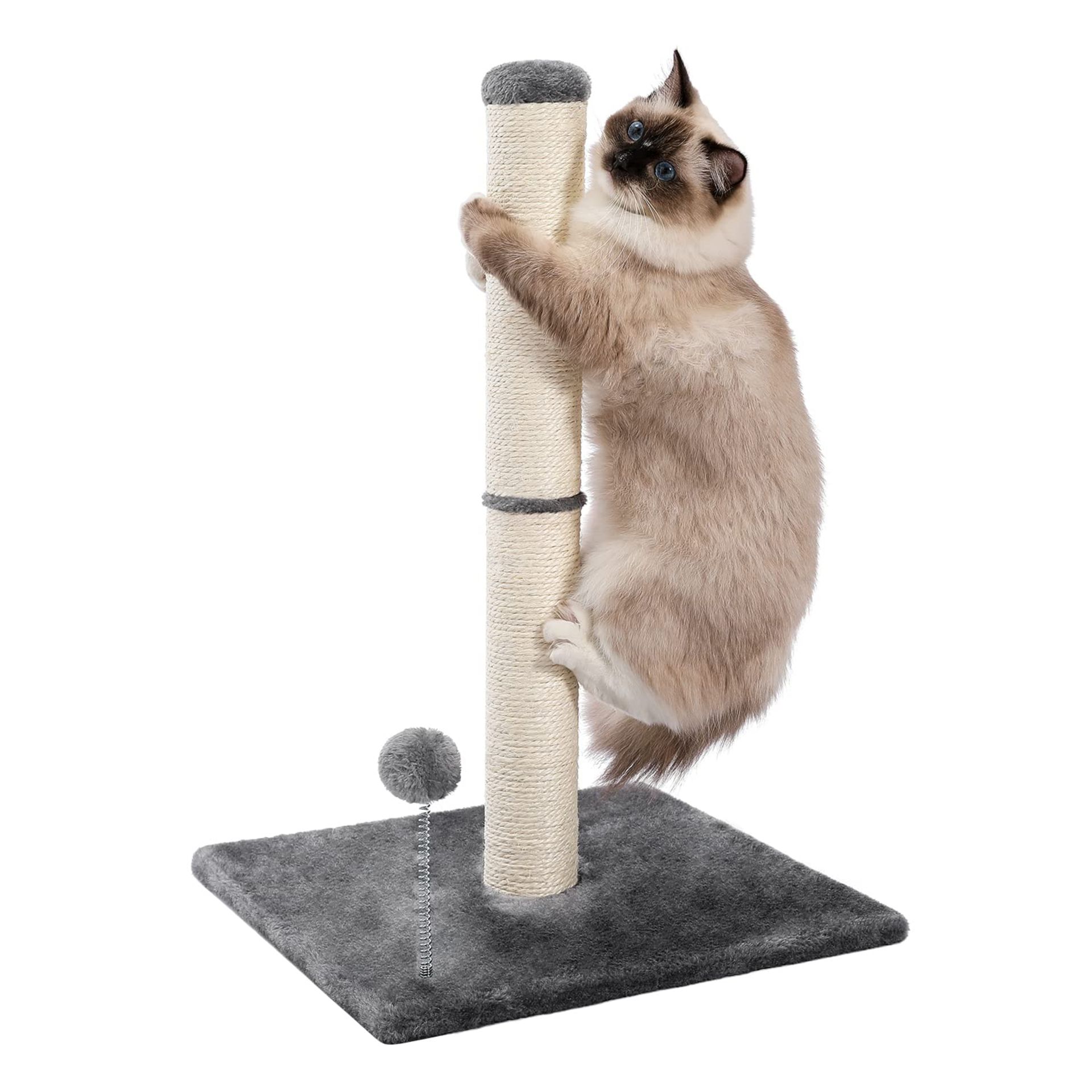 RRP £21.67 PETEPELA Cat Scratching Post for Indoor Cats
