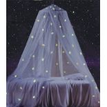 RRP £32.44 Bed Canopy with Glowing Space in The Dark