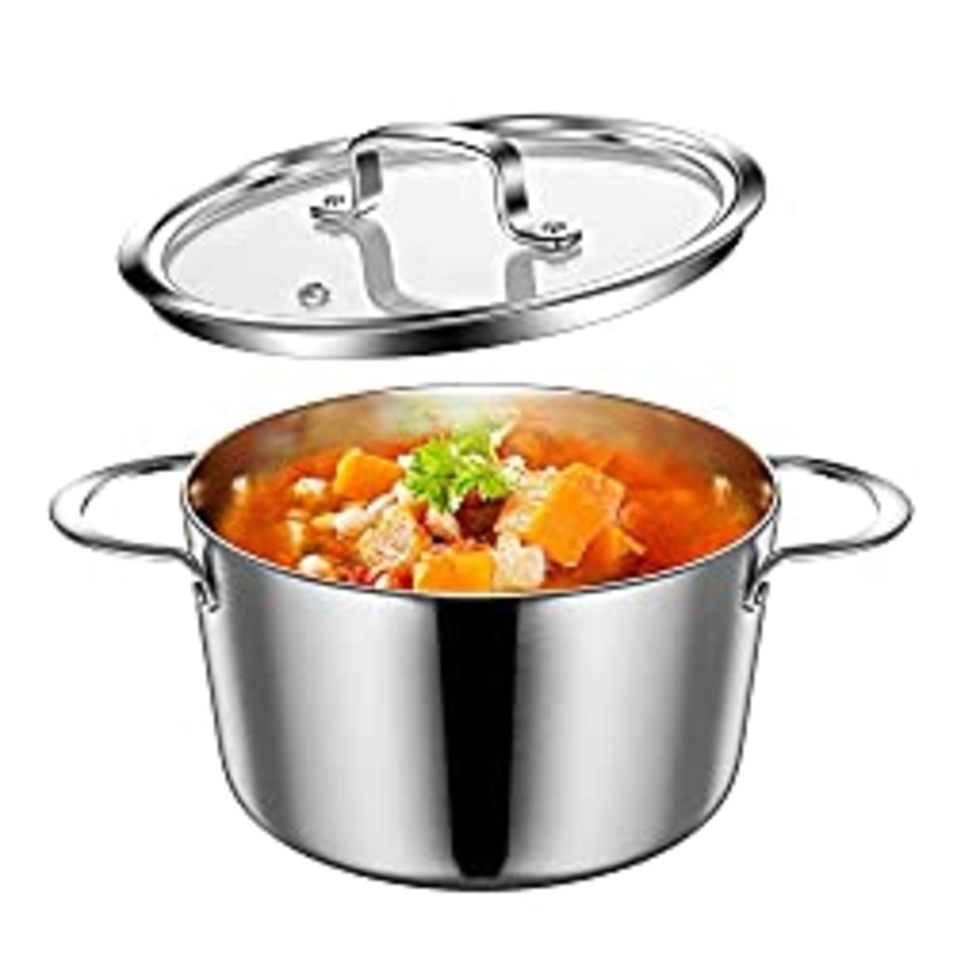 RRP £30.81 Lio SHAAR Stainless Steel Induction Pot with Glass Lid