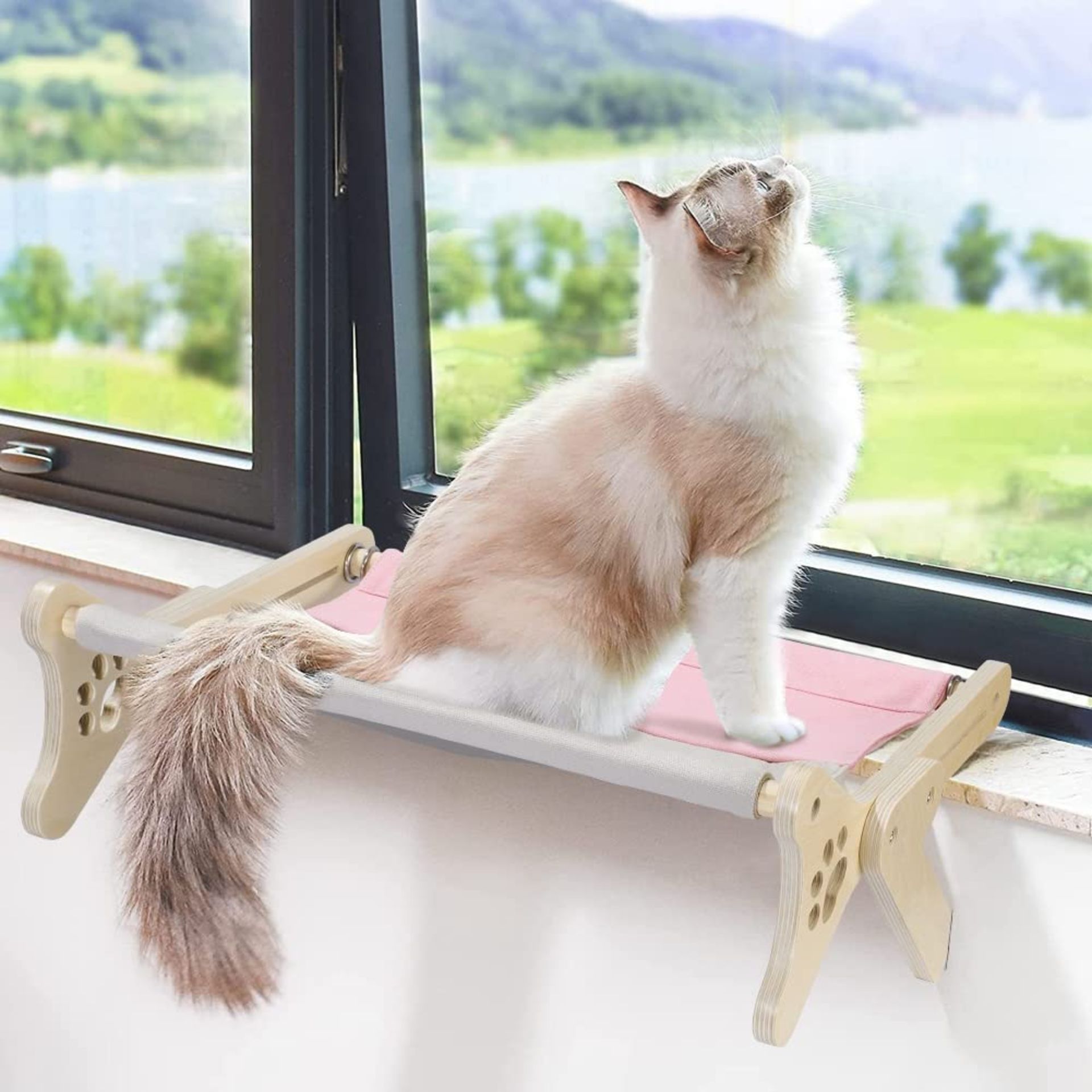 RRP £16.44 XhuangTech Cat Window Perch