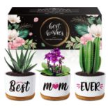 RRP £19.40 Mothers Day Mum Gifts - Succulent Planters Birthday Gifts for Mum