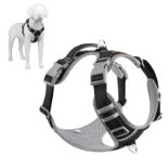 RRP £23.96 Plutus Pet No Pull Dog Harness