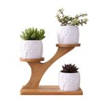RRP £21.67 kiss me Ceramic Planter with Wood Stand