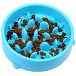 RRP £9.69 H&S Slow Feeder Dog Bowl