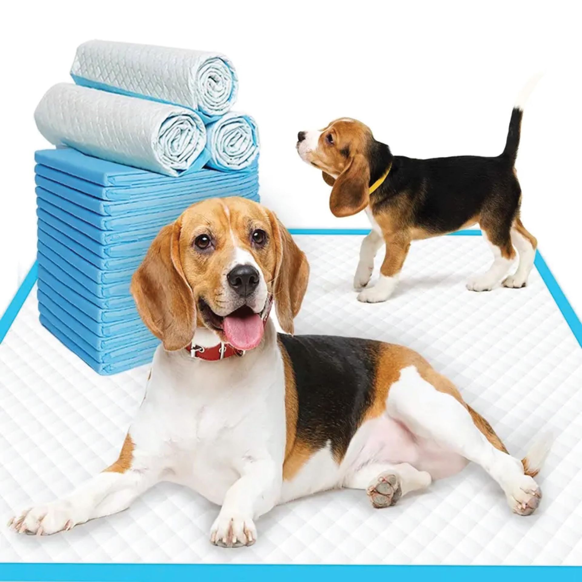 RRP £25.10 Puppy Dog Pads