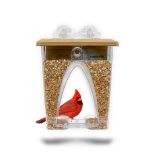 RRP £44.11 Roamwild Beautiful Arch Window Wild Bird Feeder with