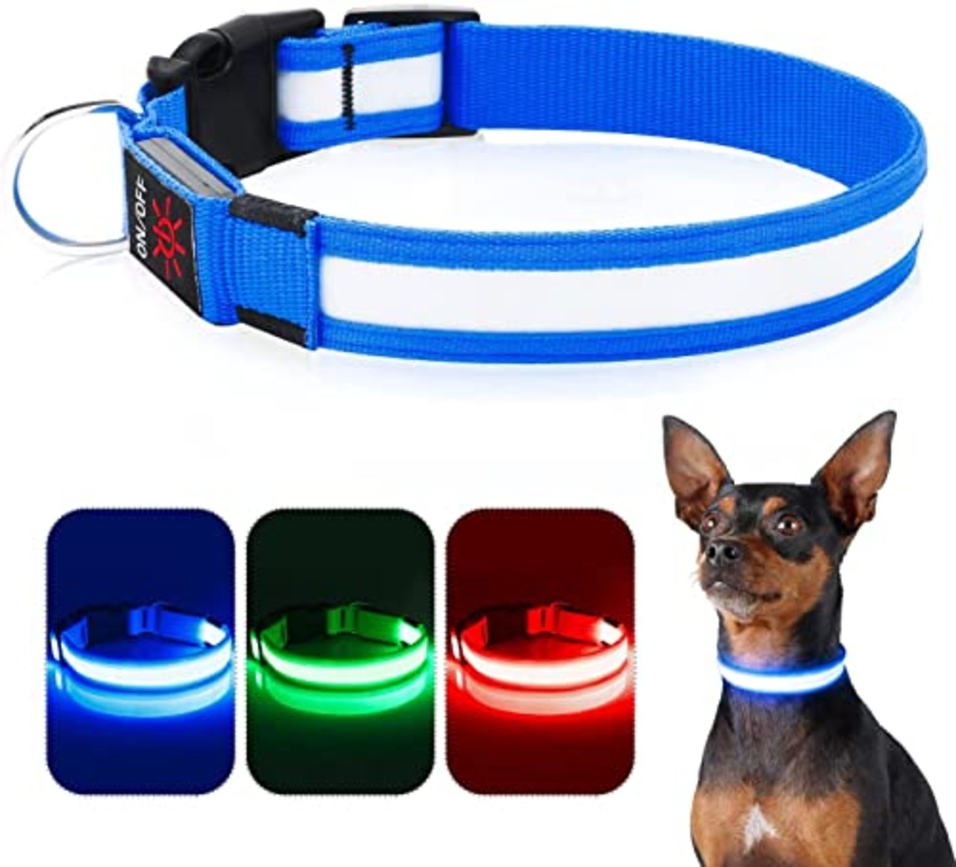 RRP £8.59 iTayga LED Dog Collar