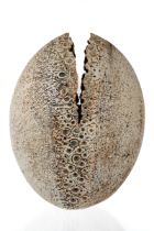 Alan Wallwork (1931- 2019) - a studio pottery split seed vessel, incised AW mark, approx 17cm high