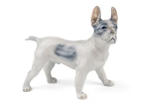 A Royal Copenhagen study of a standing French Bulldog, numbered 1457 to base, approx 12cm long In