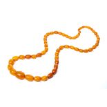 A single row amber necklace, with graduated oval beads approx 8mm to 20mm, gross weight approx 32.7g