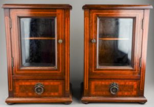 A pair of 19th century mahogany collectors cabinets with beveled glass fronts, shelves and a drawer,