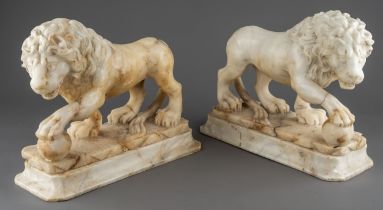 A pair of 18th / 19th century grand tour carved alabaster Medici lions, on separate plinths, each