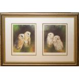 Colin Woolf (British, b.1956), two limited edition prints titled Barn Owl and Snowy Owl, 122/750,