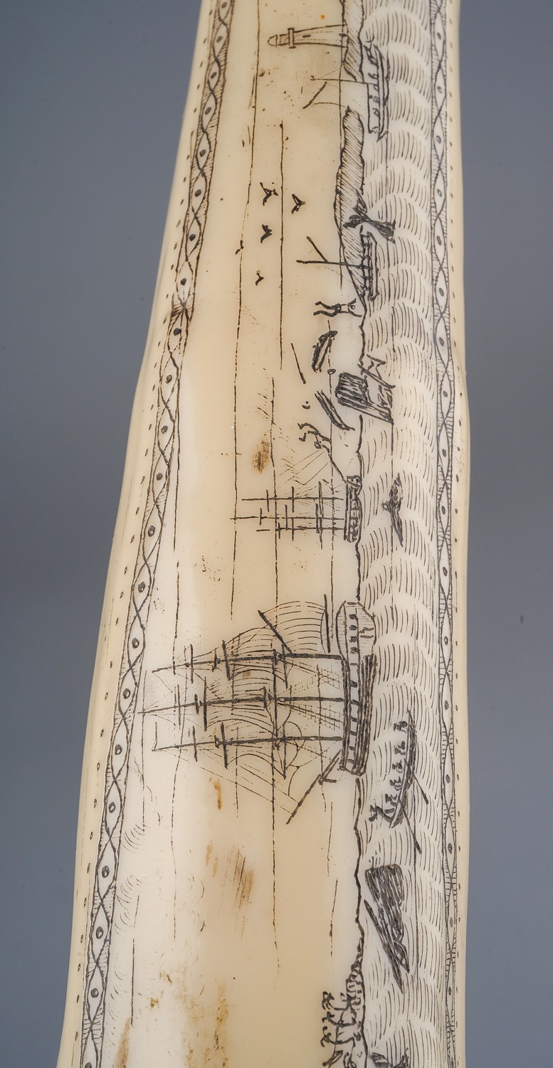 Reproduction resin copy of a scrimshaw walrus tusk, approx 38.5 cm long In good overall condition - Image 5 of 5