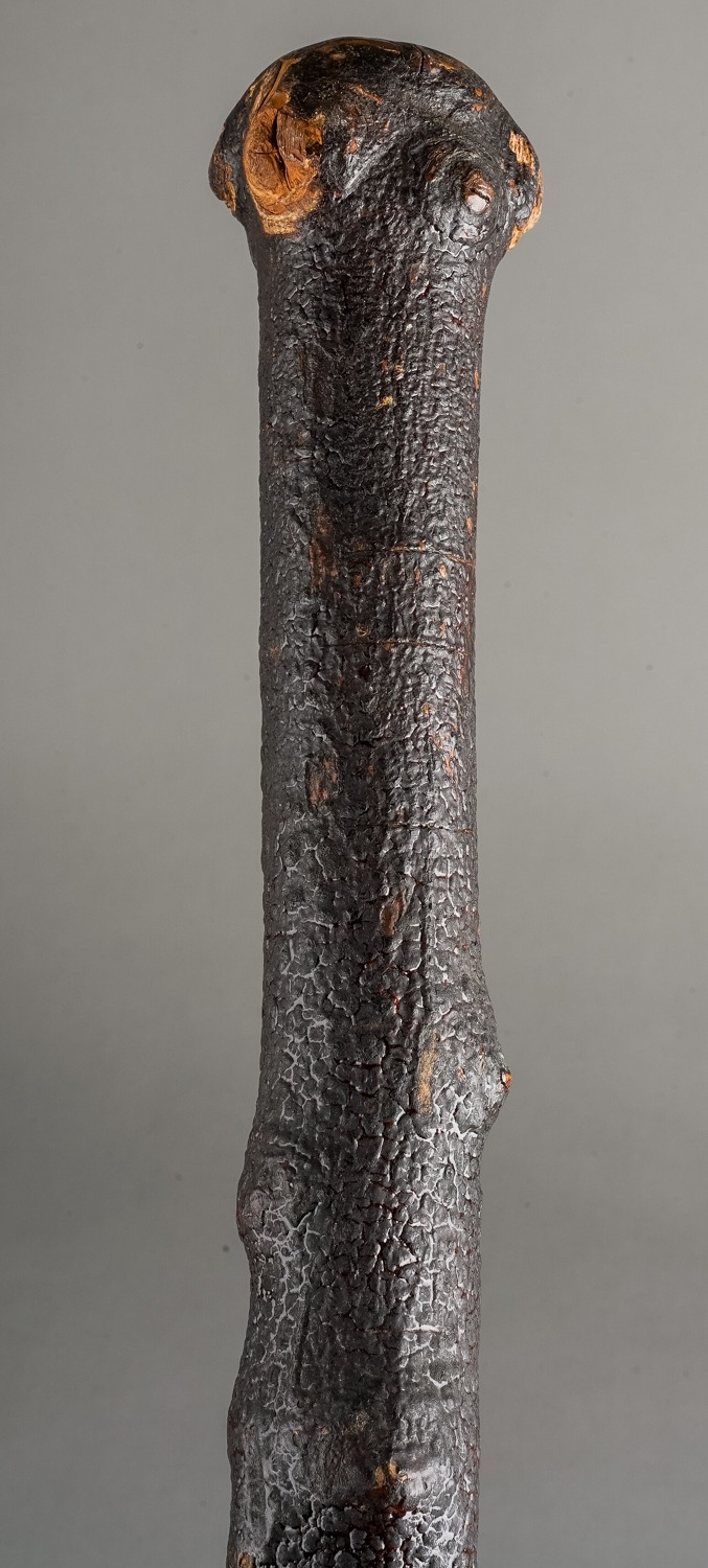 A blackened naturalistic wood Shillelagh style stick together with two carved staffs and a carved - Bild 3 aus 7