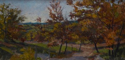 Francis le Marchant (British 1939-2016) Autumn near Cales Causse oil on canvas, 30 x 60cm signed