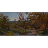 Francis le Marchant (British 1939-2016) Autumn near Cales Causse oil on canvas, 30 x 60cm signed