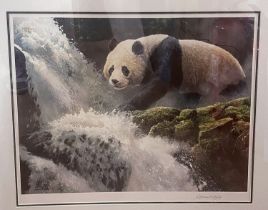 Adrian Rigby (b.1962) Panda at weir colour print, 40 x 54cm signed in pencil on the mount, framed