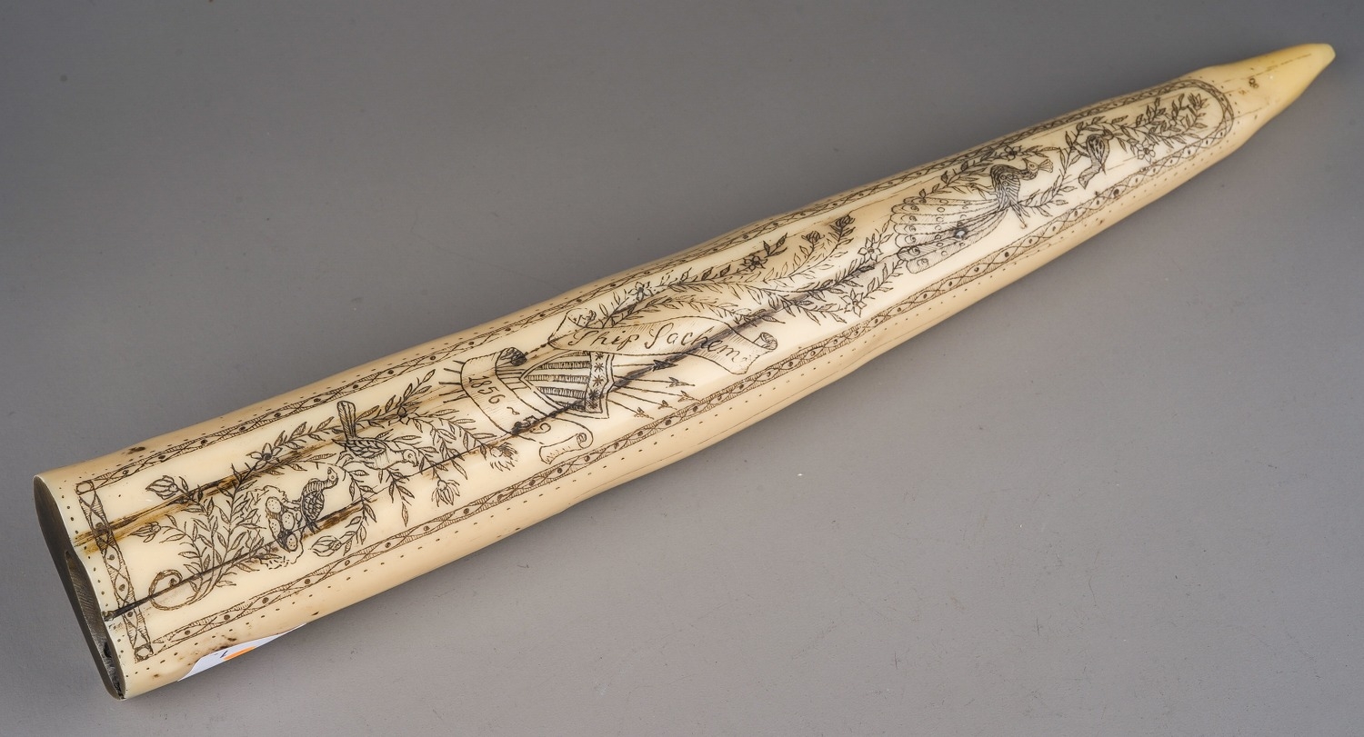 Reproduction resin copy of a scrimshaw walrus tusk, approx 38.5 cm long In good overall condition - Image 2 of 5