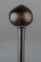 A rare 19th century carved rhino horn tribal Knobkerrie club, probably from the Zulu nation. Approx.