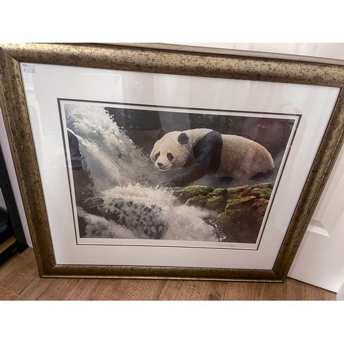 Adrian Rigby (b.1962) Panda at weir colour print, 40 x 54cm signed in pencil on the mount, framed - Image 2 of 5