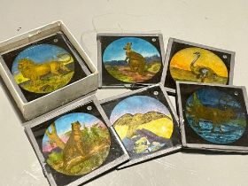 Assorted collection of early 20th Century coloured lantern slides including boxed Wild Animals,