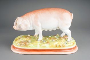 A German ceramic model of a Sow on naturalistic base, blue underglaze mark on underside for Augustus