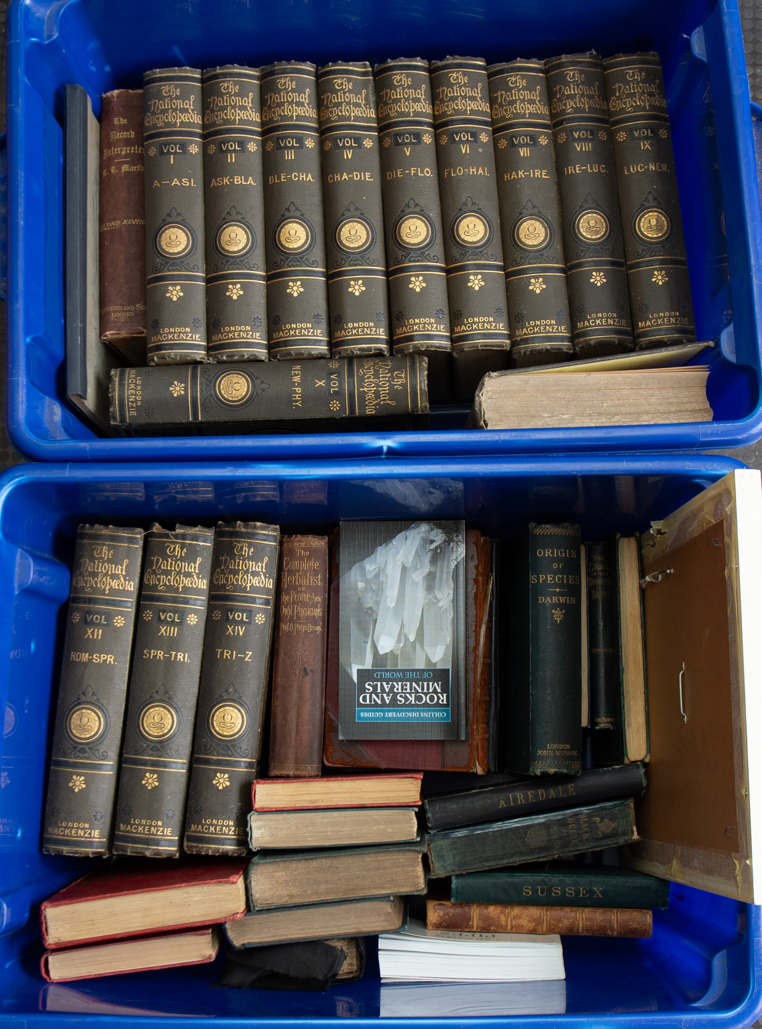 Two trays of antiquarian books, mainly science related to include The Origin of Species by Charles