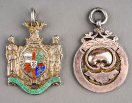 Two silver medals, gross weight 21g 1. Ancient Order of Foresters 2. RAO Buffaloes