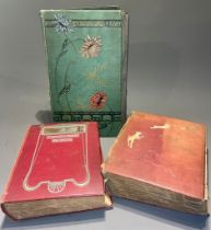 Three early 20th Century postcard albums; Edwardian, War Time and later, one containing coloured