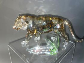 A Swarovski Crystal Club tinted crystal figure of a Tiger from the Endangered Wildlife series, boxed