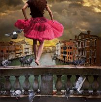 Fotografie - - Tom Chambers.