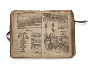 Botanik - Kräuterbücher - - Walther