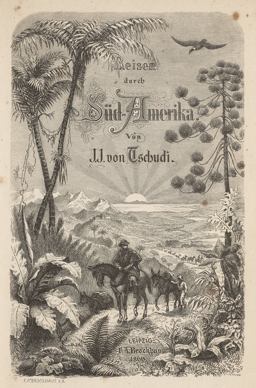 Amerika - - Johann Jakob von Tschudi.