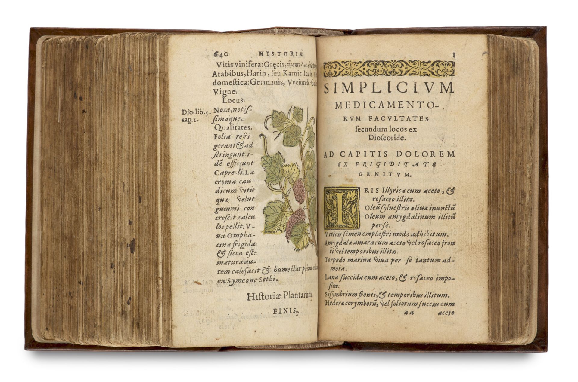 Botanik - Kräuterbücher - - Antoine Du - Image 2 of 2