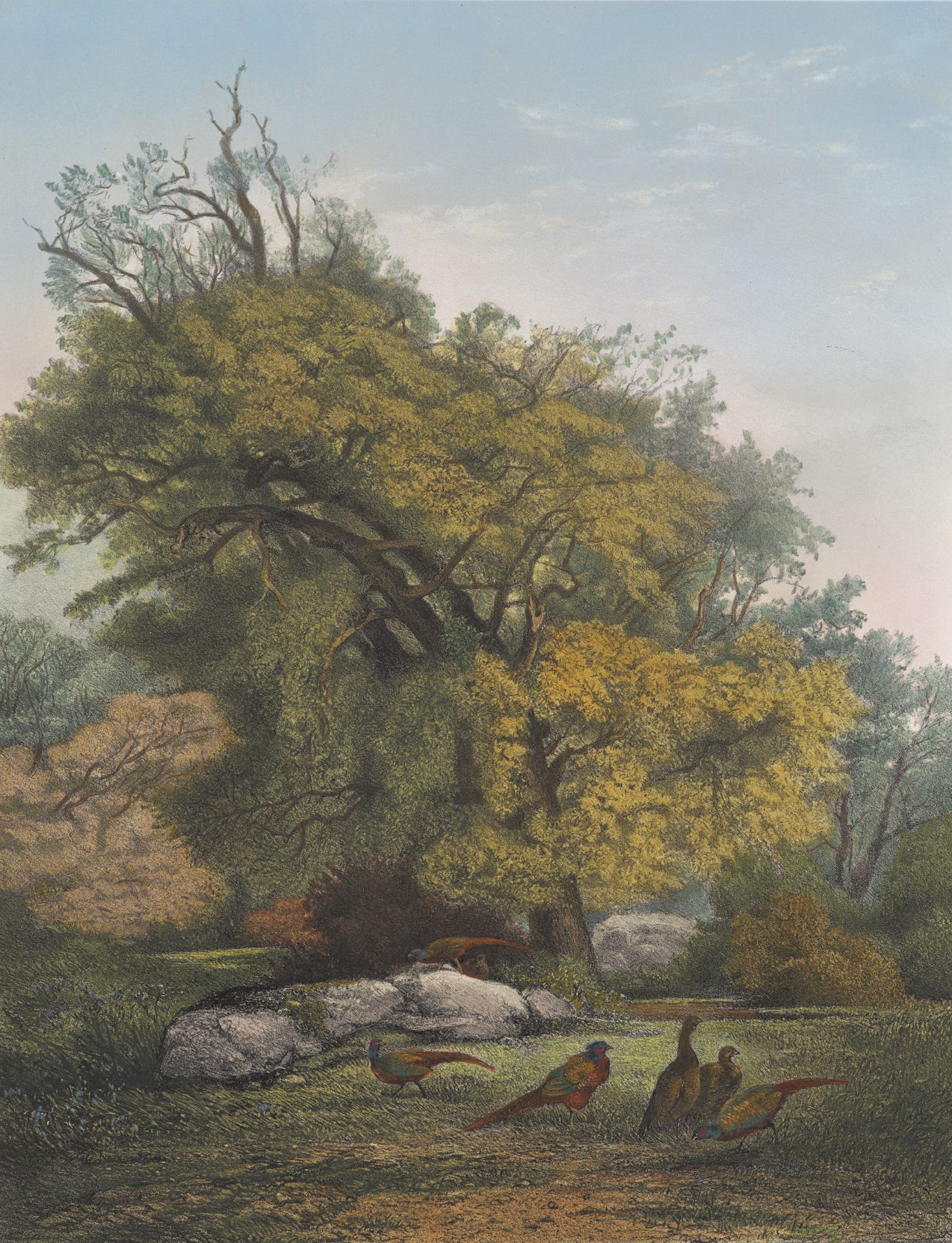 Jagd - - Karl Bodmer.  (1809 Zürich -