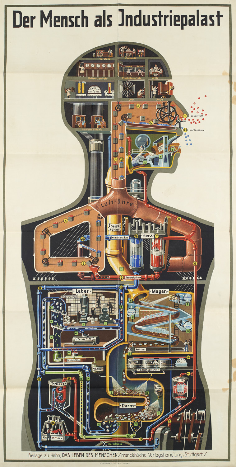 Fritz Kahn. Das Leben des Menschen. 5