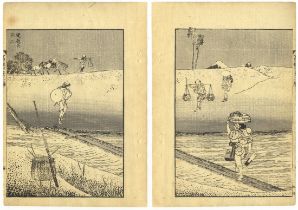 Hokusai, Fuji, Original Japanese Woodblock Print